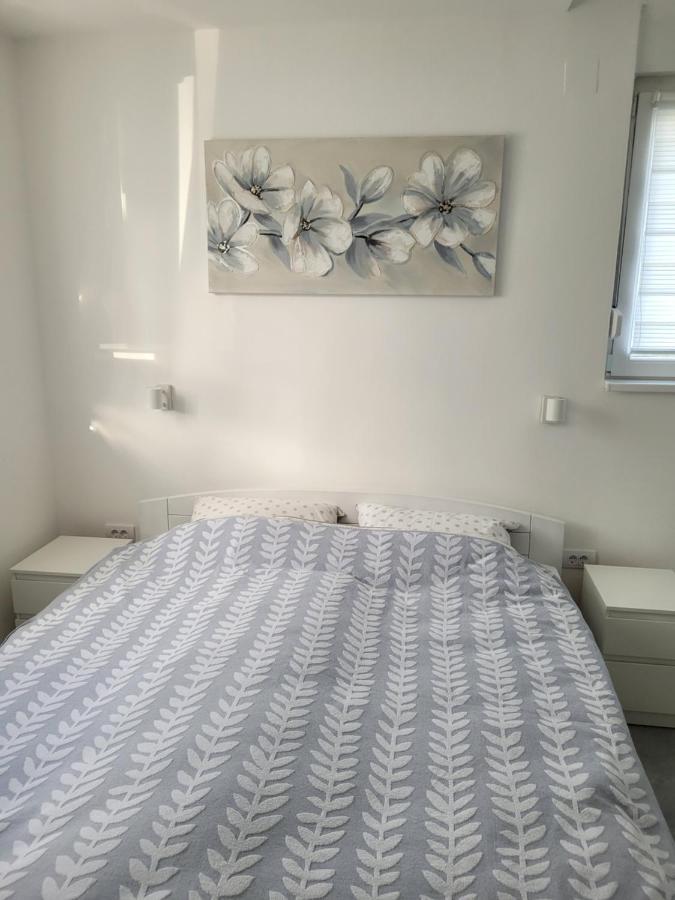 Apartment Oaza 1